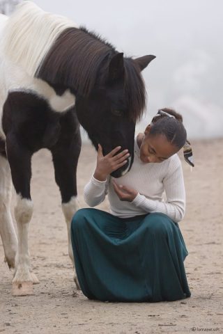 photographe animalier cheval côtes d'armor saint brieuc