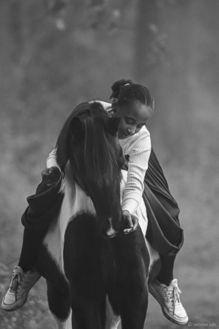 photographe animalier cheval côtes d'armor saint brieuc