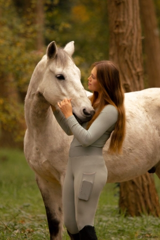 photographe animalier cheval côtes d'armor saint brieuc