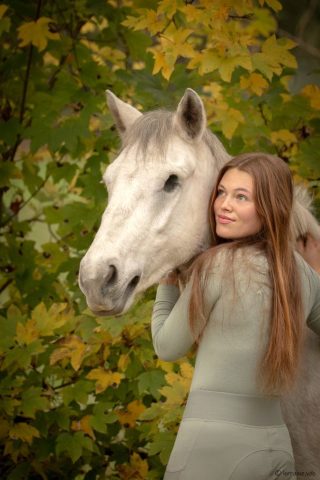 photographe animalier cheval côtes d'armor saint brieuc