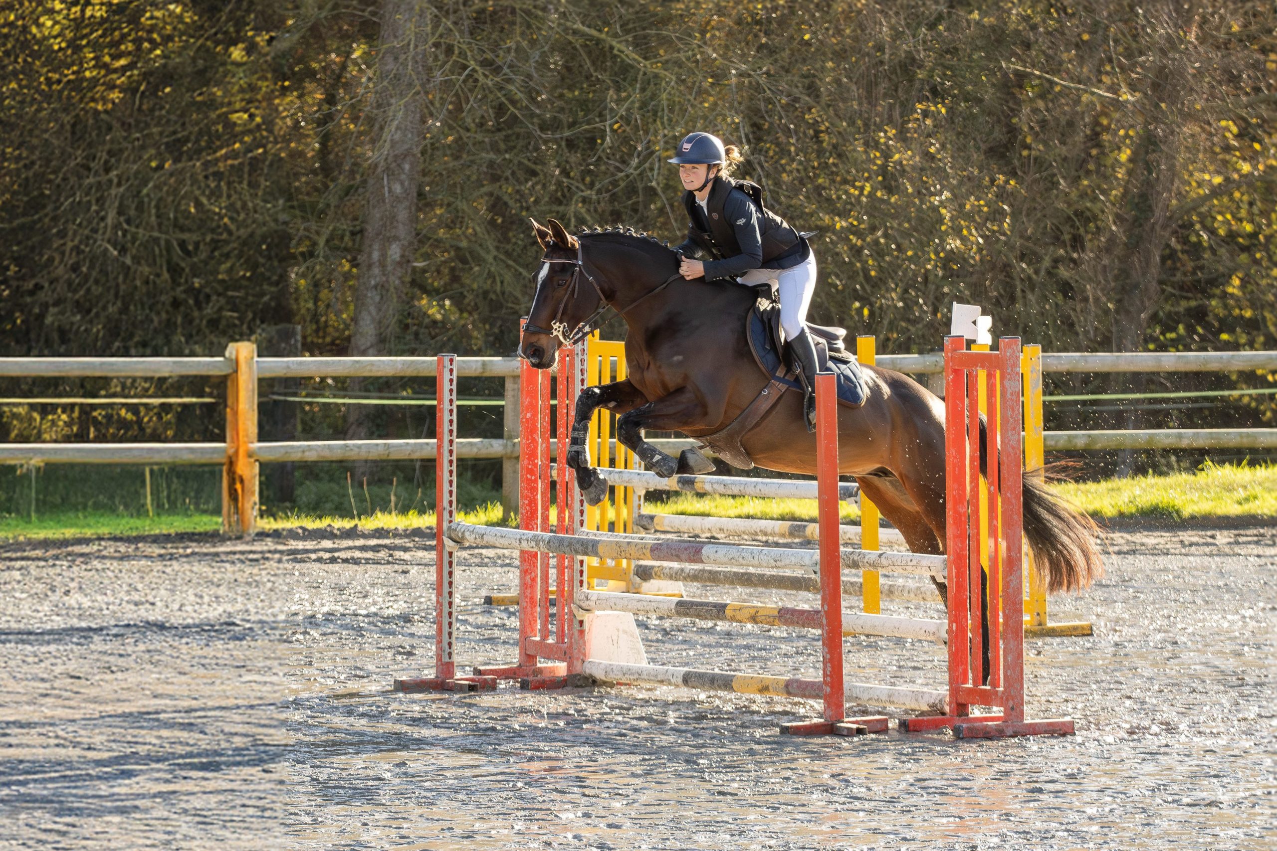concours de saut d'obstacles - cso - cavalière sur jument qui sautent un oxer - bretagne - côtes d'armor
