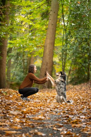 photographe animalier chien côtes d'armor saint brieuc