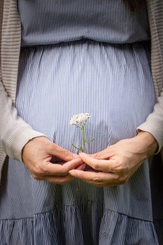 photo de grossesse _ côtes d'armor _ saint-brieuc