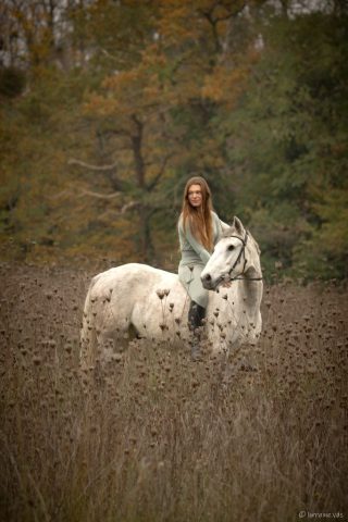 photographe animalier cheval côtes d'armor saint brieuc