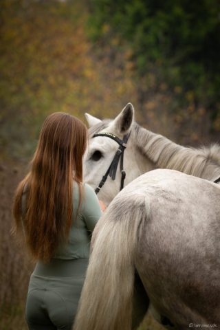 photographe animalier cheval côtes d'armor saint brieuc