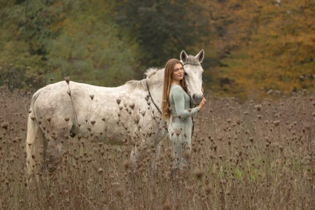 photographe animalier Saint-Brieuc photographe animalier Saint-Brieuc cheval