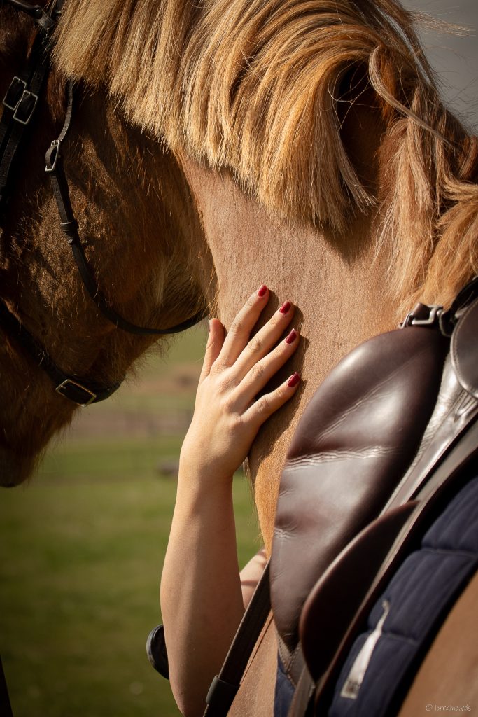 photographe entreprise équestre bretagne