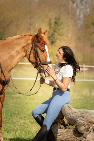photographe animalier cheval côtes d'armor saint brieuc