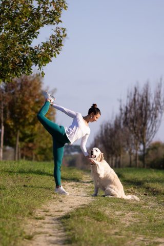 photographe animalier chien côtes d'armor saint brieuc
