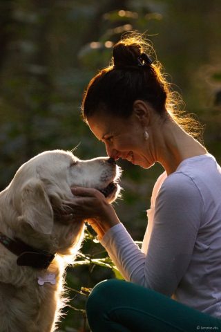 photographe animalier chien côtes d'armor saint brieuc