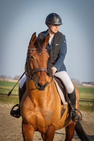 photographe animalier cheval côtes d'armor saint brieuc