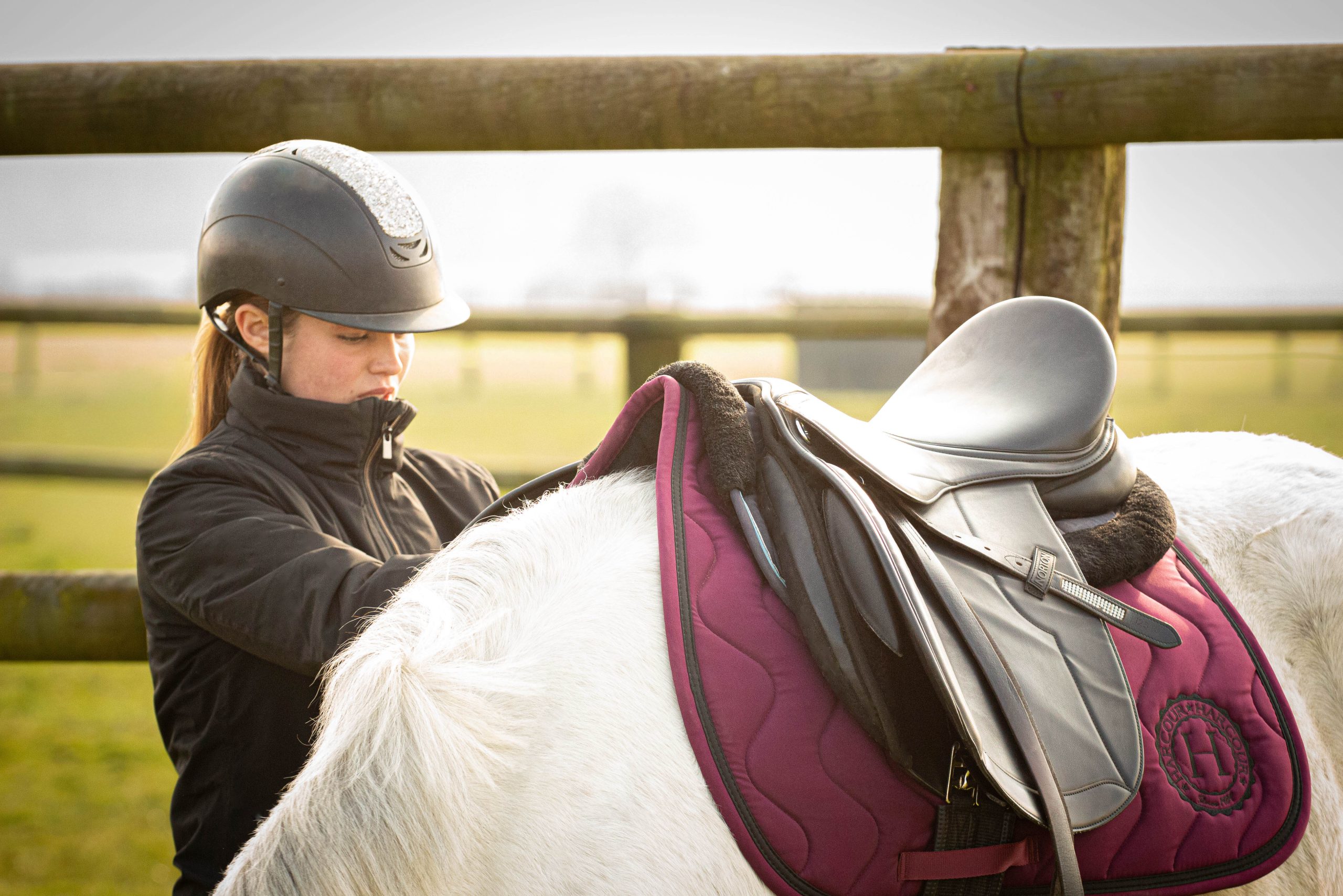 photo de l'équipement d'une cavalière et de son cheval -selle et tapis - photos entreprises équestres